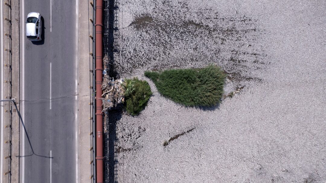 βόλος-τα-νεκρά-ψάρια-είναι-η-χαριστικ-563196181