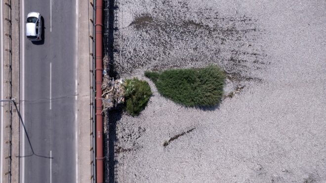 βόλος-τα-νεκρά-ψάρια-είναι-η-χαριστικ-563196181