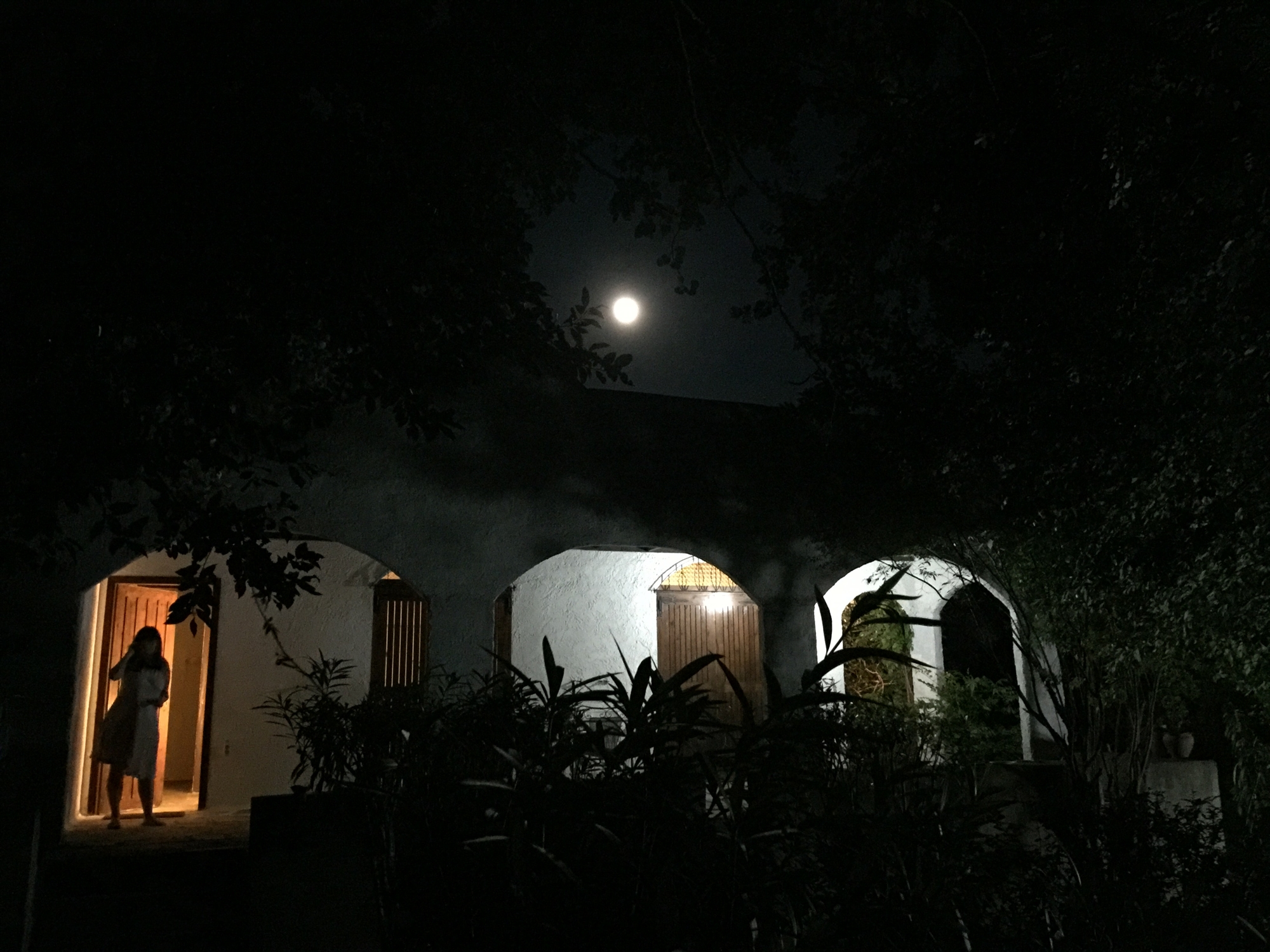 «Το κρύβει η Ακρόπολη, πάμε από την άλλη»-1