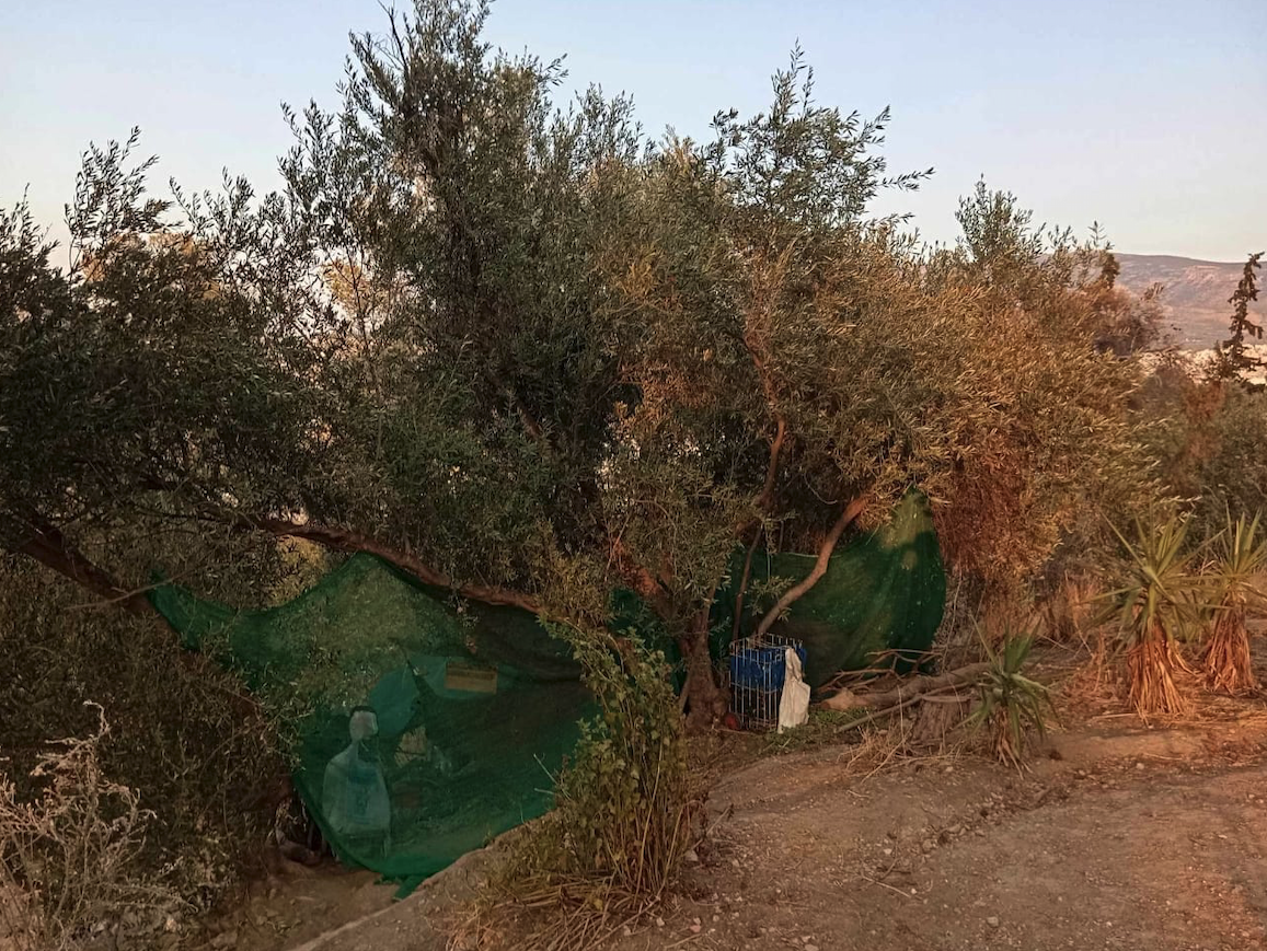 Απομακρύνθηκαν σκηνές αστέγων στου Φιλοπάππου-1