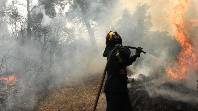 τρίπολη-συνελήφθη-44χρονη-για-εμπρησμο-563190436