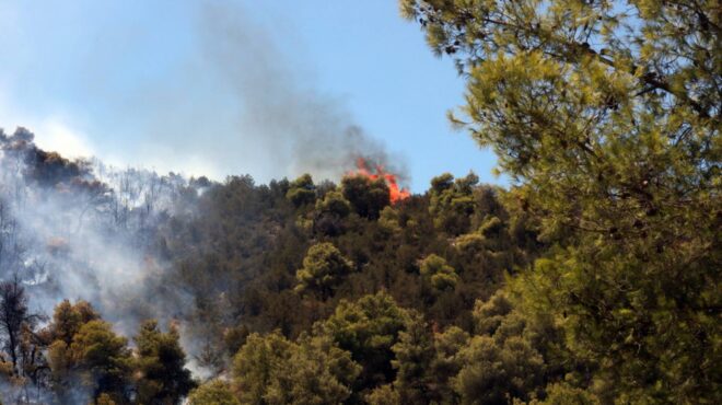 φωτιά-στην-εύβοια-πόσο-επηρέασε-ο-καπν-563154979
