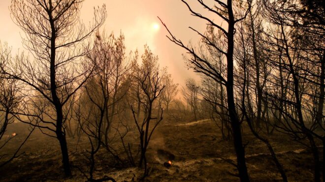 πυρκαγιά-στην-αττική-πού-απευθύνοντα-563179114