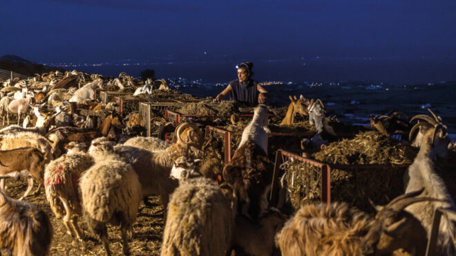 η-αληθινή-ζωή-των-κυκλάδων-γυναίκα-τυρ-563197825