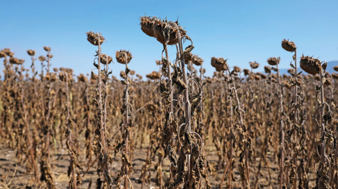 η-αόρατη-υποβάθμιση-των-ελληνικών-υ-563158696