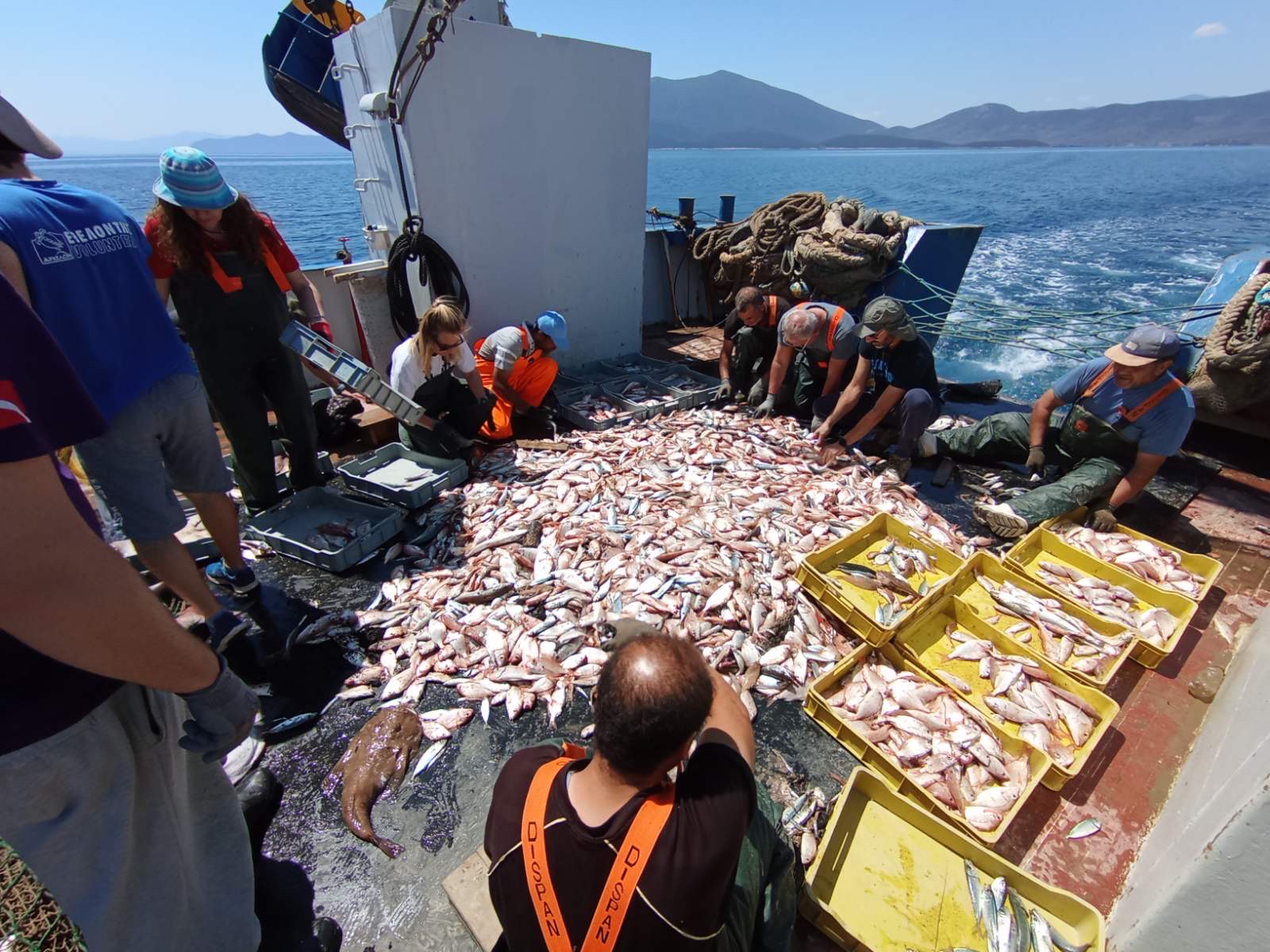 Βόλος: «Είναι ένα οικολογικό έγκλημα»-7