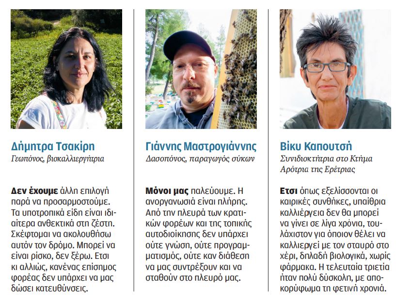 «Αυτός δεν είναι ήλιος, είναι φλόγιστρο»-1