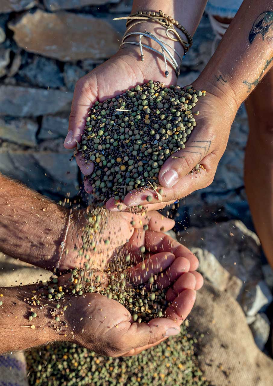 Γεύση από Κυκλάδες: Η cucina povera του Αιγαίου-7