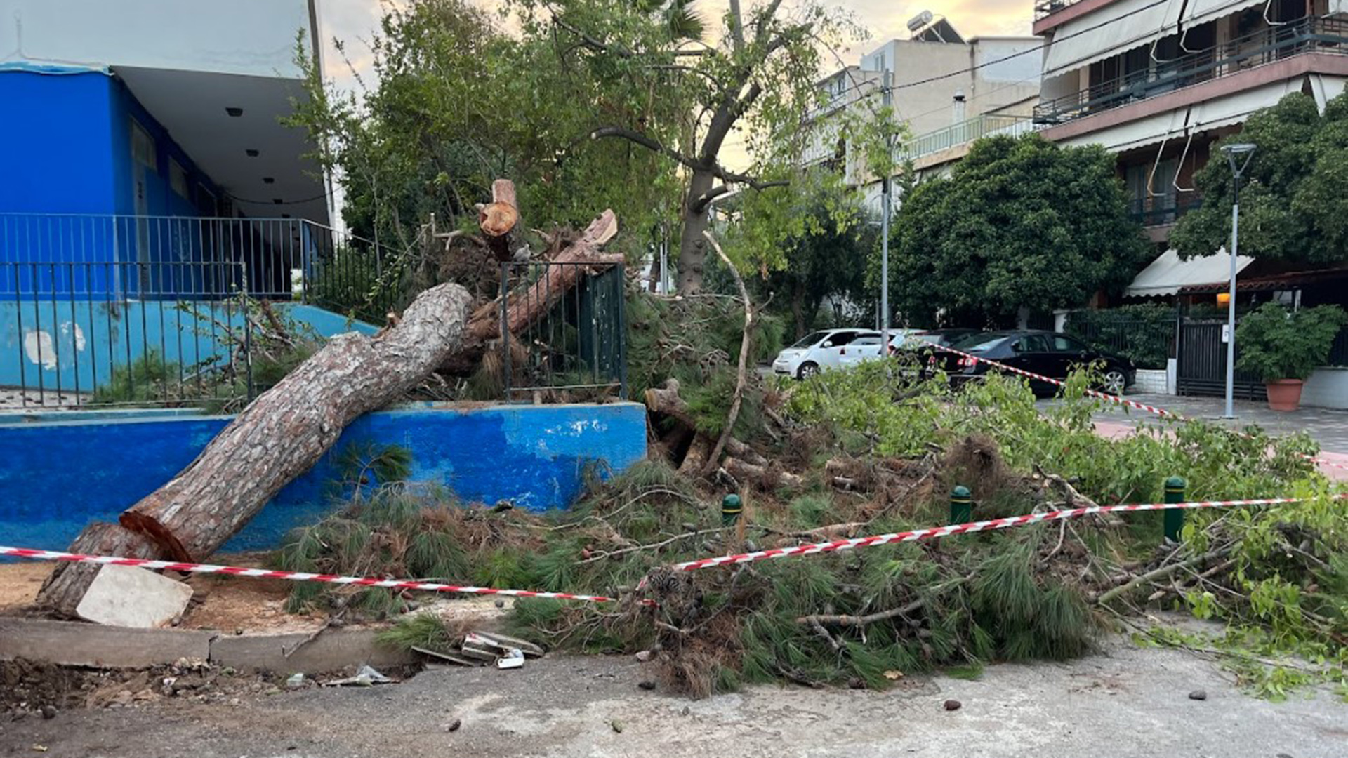 Κακοκαιρία: Δέντρο έπεσε σε προαύλιο σχολείου στο Περιστέρι (φωτογραφίες)-2