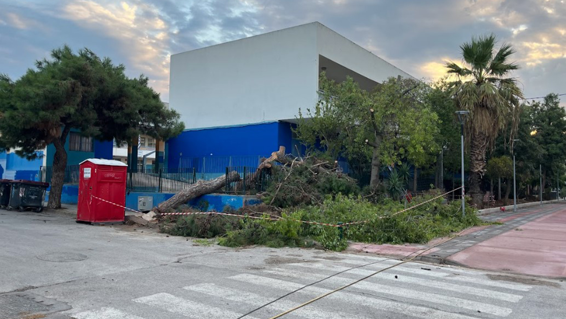 Κακοκαιρία: Δέντρο έπεσε σε προαύλιο σχολείου στο Περιστέρι (φωτογραφίες)-1