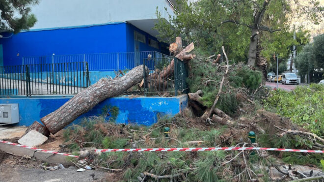 κακοκαιρία-δέντρο-έπεσε-σε-προαύλιο-σ-563197852