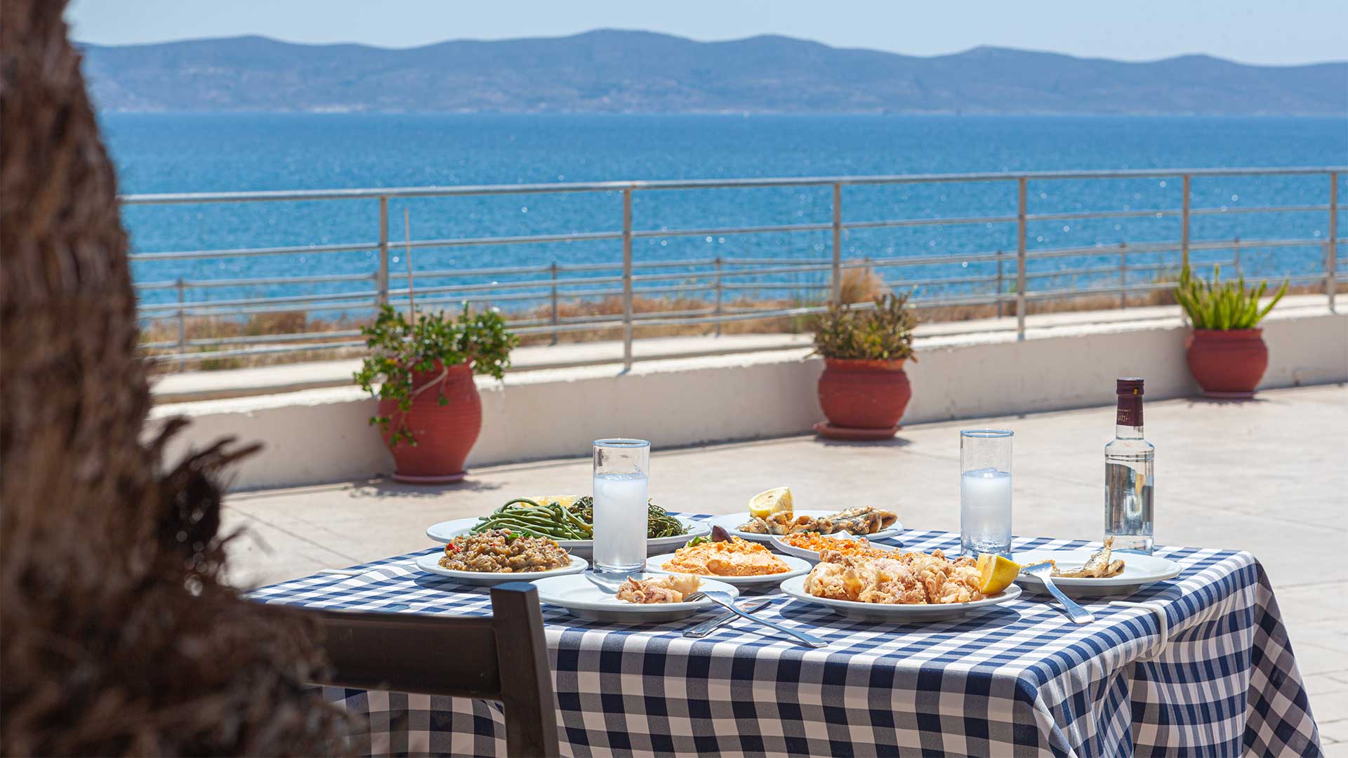 Από τα νησιά στην πόλη: 13 ψαροταβέρνες με θέα θάλασσα για ομαλή μετάβαση στην Αθήνα-3