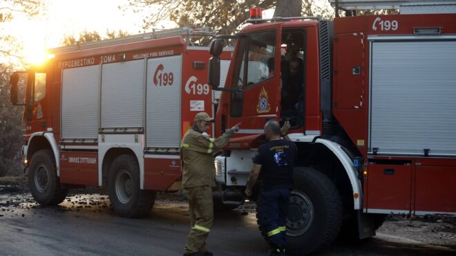 πυρκαγιά-σε-δασική-έκταση-στον-aγιο-κοσ-563172985