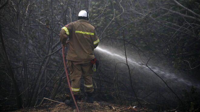 φωτιά-τώρα-στο-σουφλί-σε-δασική-έκτασ-563180617