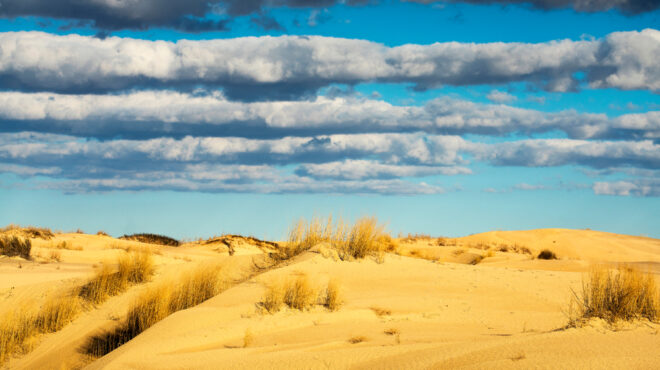δανία-παιδιά-θάφτηκαν-κάτω-από-αμμόλο-563188879