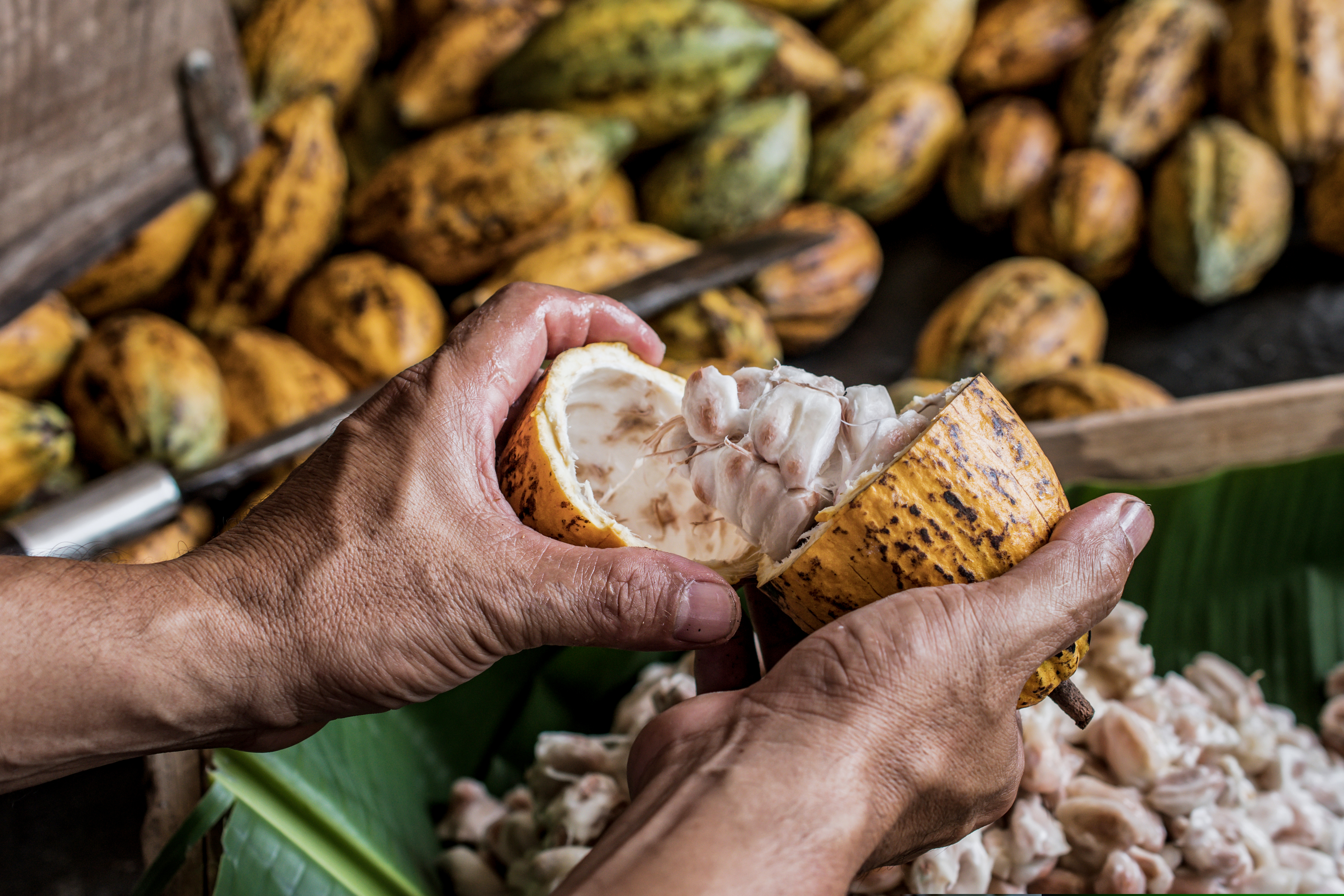 Μήπως οι Ελβετοί φέρνουν (ξανά) επανάσταση στη σοκολάτα;-1
