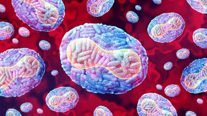 η-mpox-δεν-είναι-η-νέα-covid-δήλωσε-στέλεχος-τ-563180173