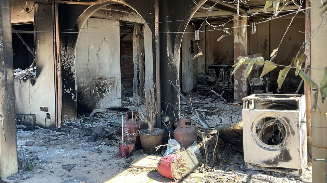 από-το-κράτος-θα-ζητούσα-να-μην-καεί-το-563172871