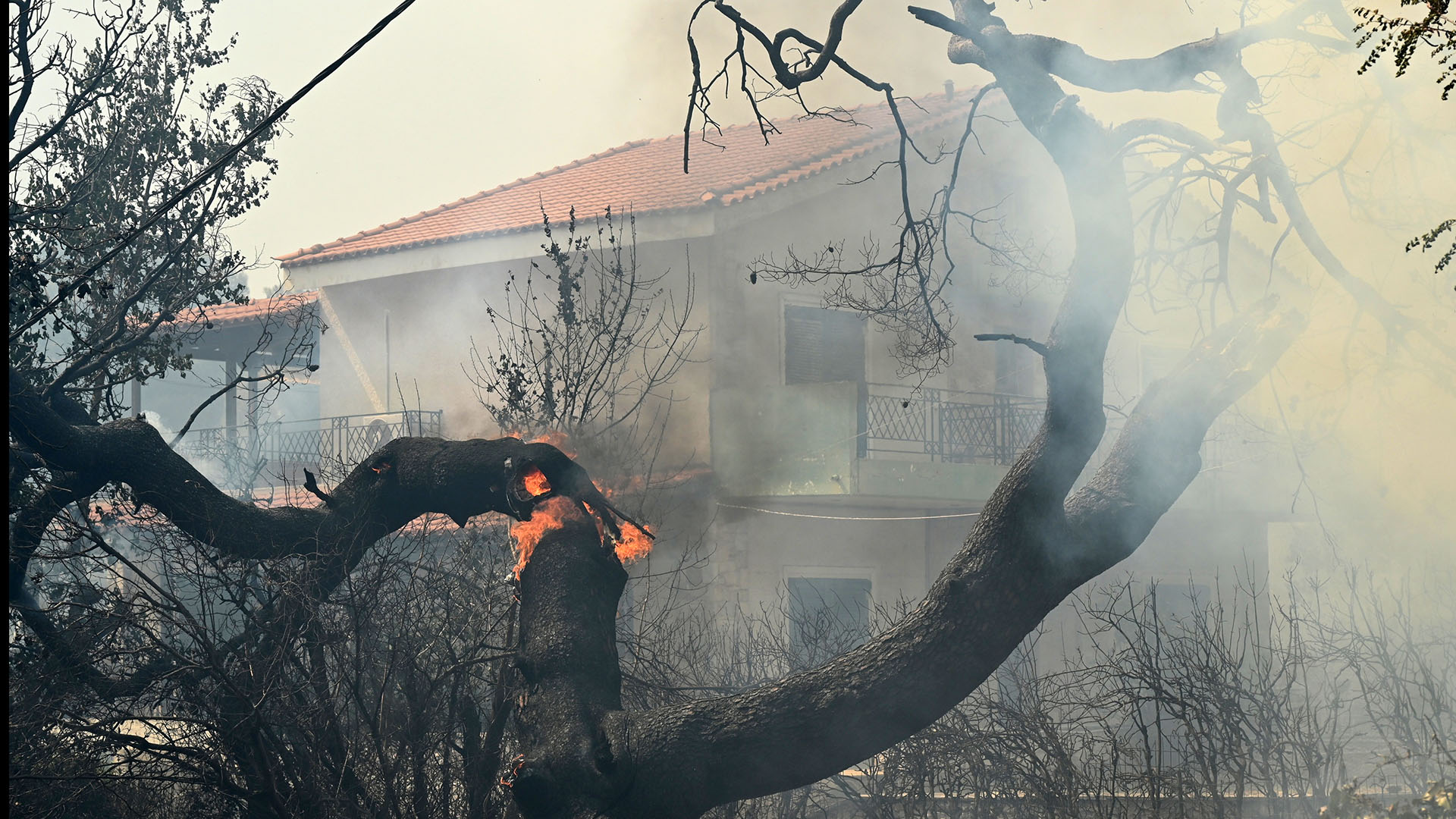 «Μπήκαμε στο αυτοκίνητο, το σπίτι ήταν το τελευταίο που μας ένοιαζε»-1