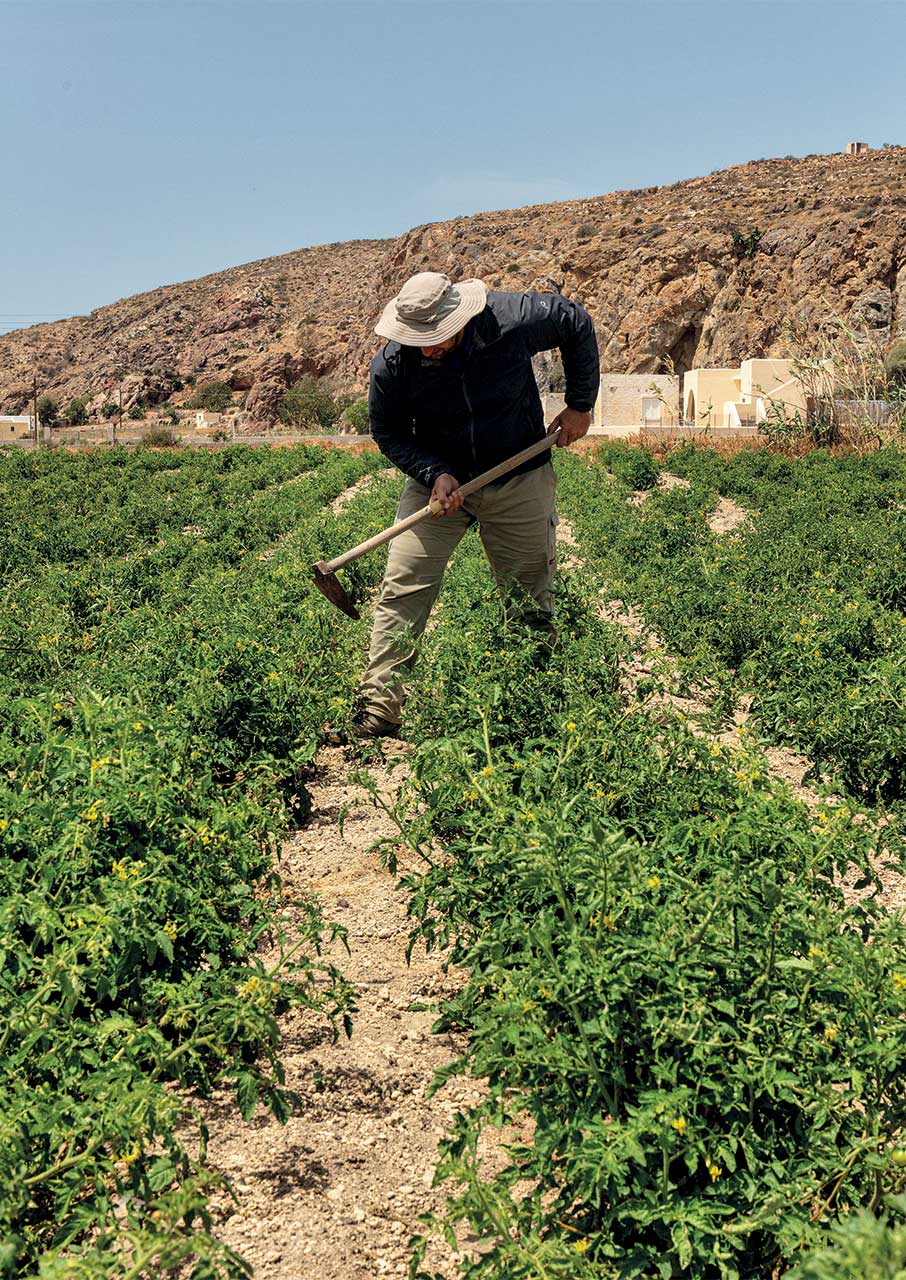 Γεύση από Κυκλάδες: Η cucina povera του Αιγαίου-2