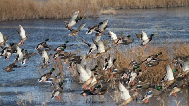 από-τις-20-αυγούστου-έως-τις-28-φεβρουαρίο-563161405
