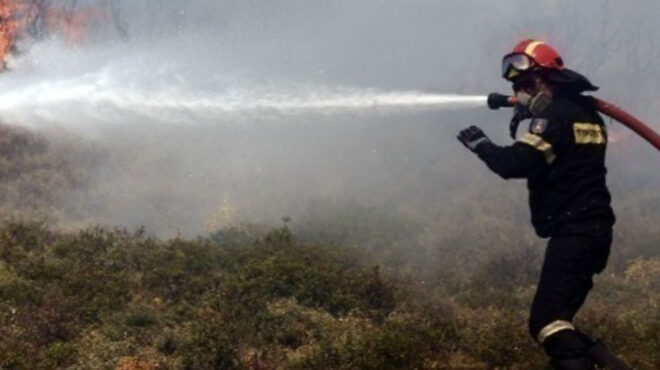 αμαλιάδα-υπό-μερικό-έλεγχο-η-φωτιά-σε-α-563177887