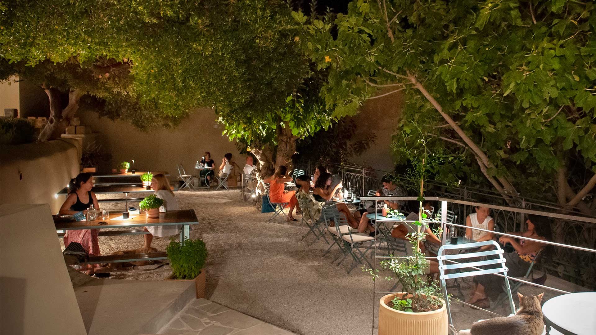 Domus Blanc: Αναβιώνοντας την κρητική Μπελ Επόκ -3