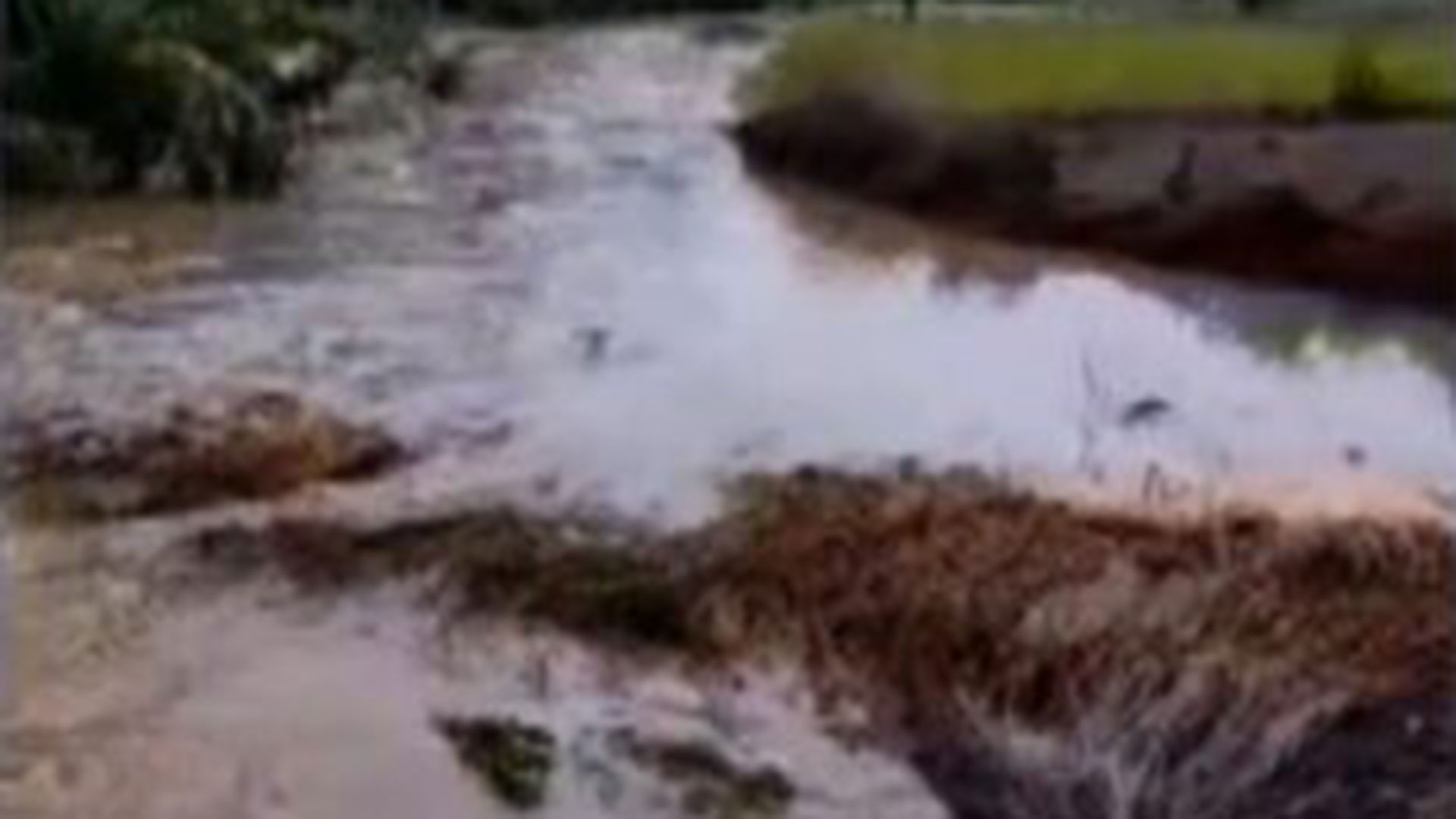 Κακοκαιρία «Atena»: Ισχυρές καταιγίδες στην Αθήνα – Προβλήματα σε δρόμους-12