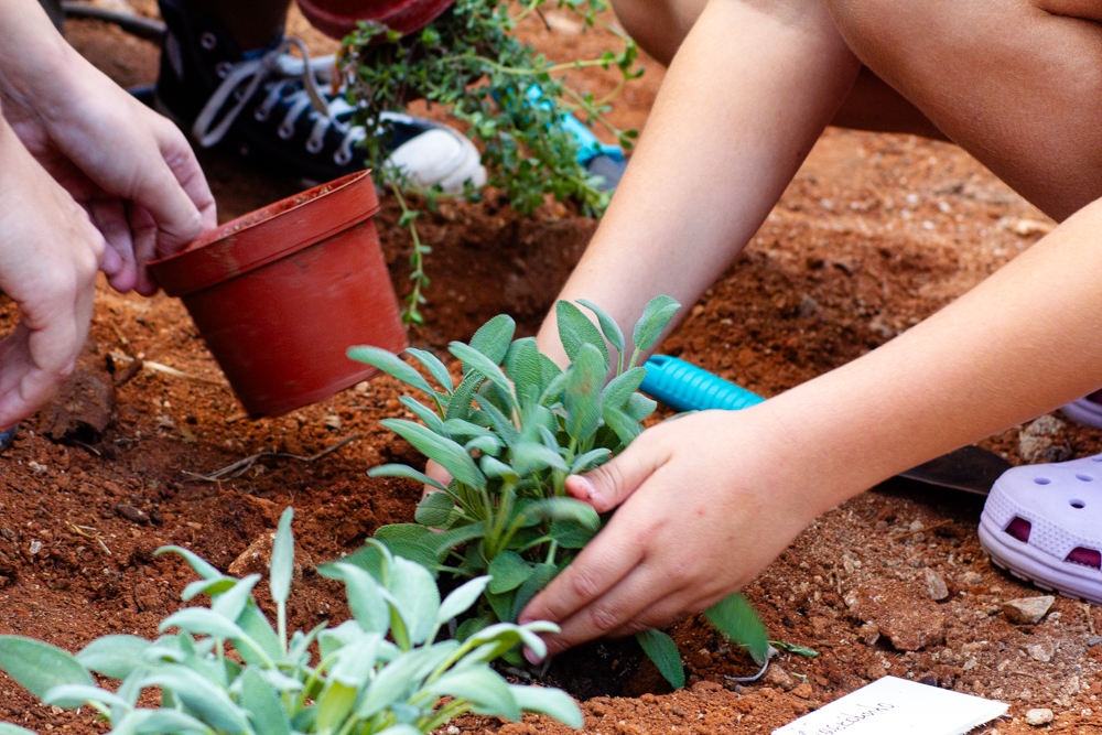 Ο Κήπος της Ακρόπολης ξαναγεννήθηκε και γέμισε πάλι από παιδιά-4