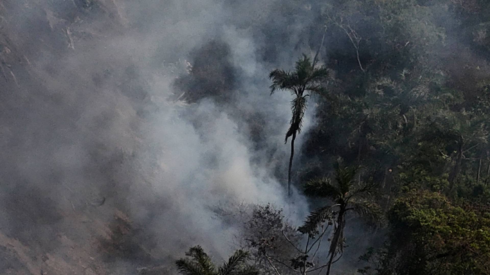 Βραζιλία: Μάχη με δεκάδες χιλιάδες εστίες πυρκαγιάς-2