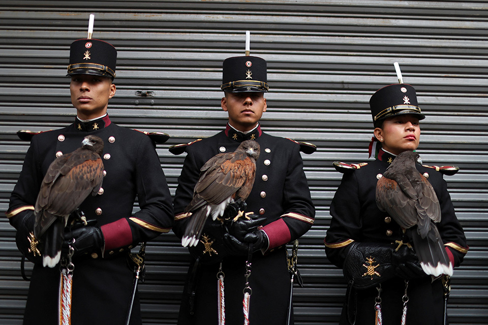 Κολυμπούν οι ελέφαντες;-1