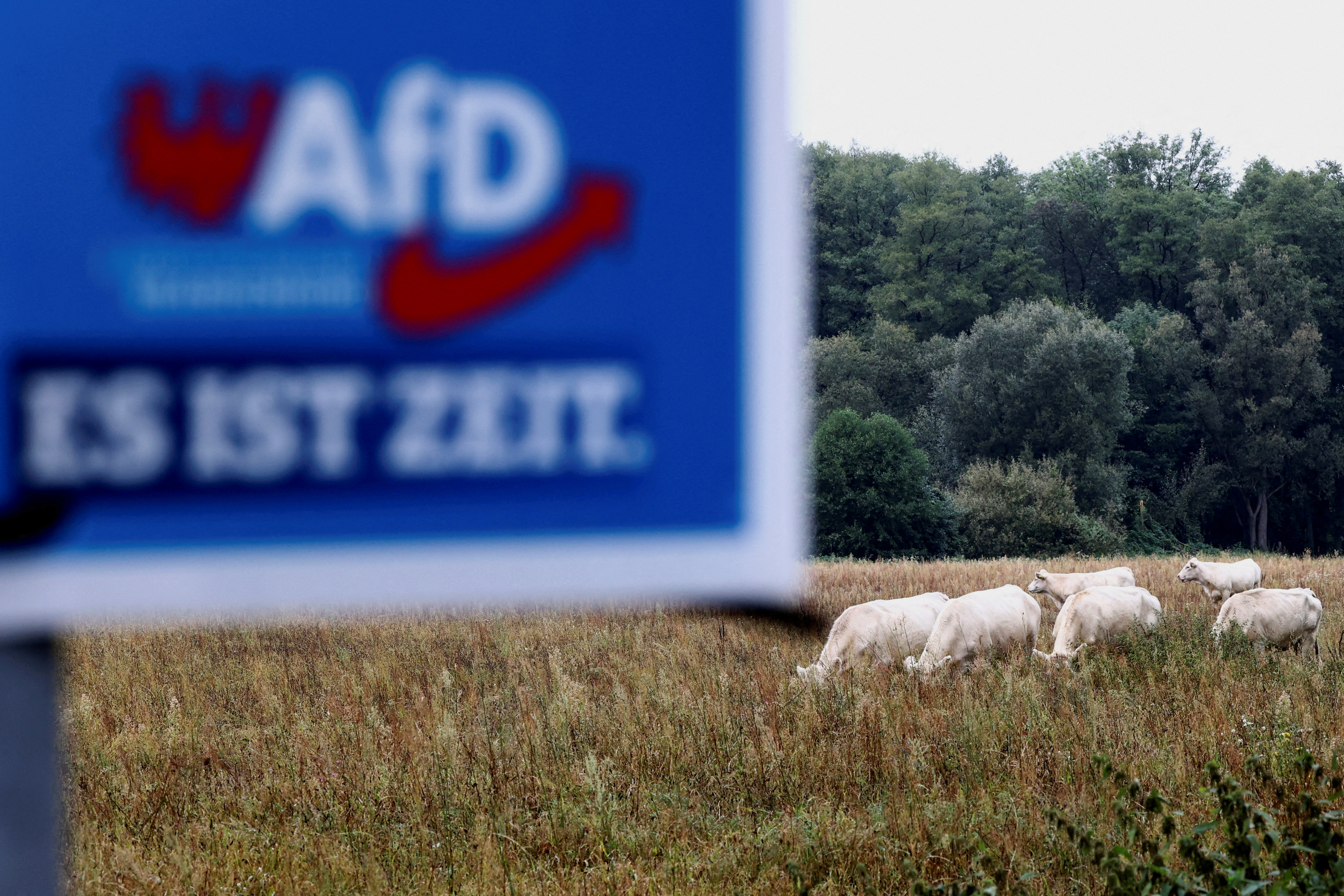 Γερμανία: Το πολιτικό μέλλον του Ολαφ Σολτς περνά από το Βρανδεμβούργο;-2