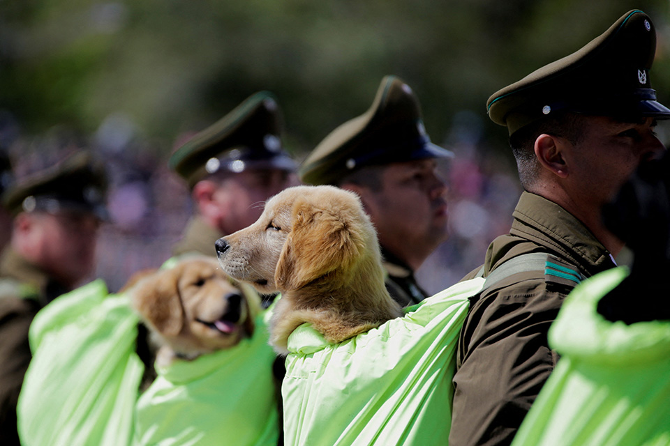 Ηρωικός τρύγος-1