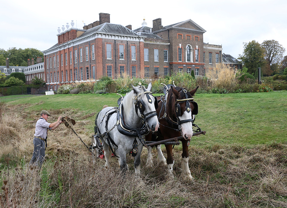 Μέσα στα μάτια-1