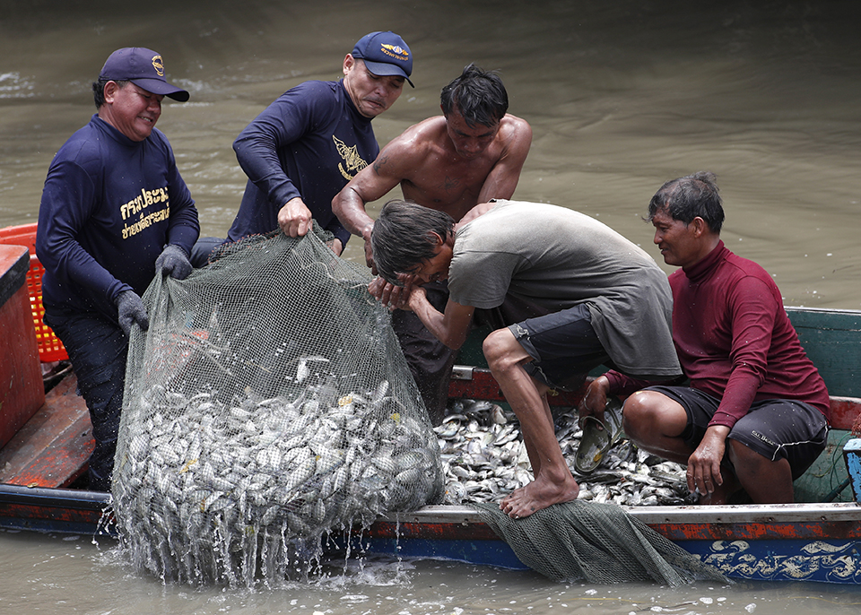 Ο Αμαζόνιος-1