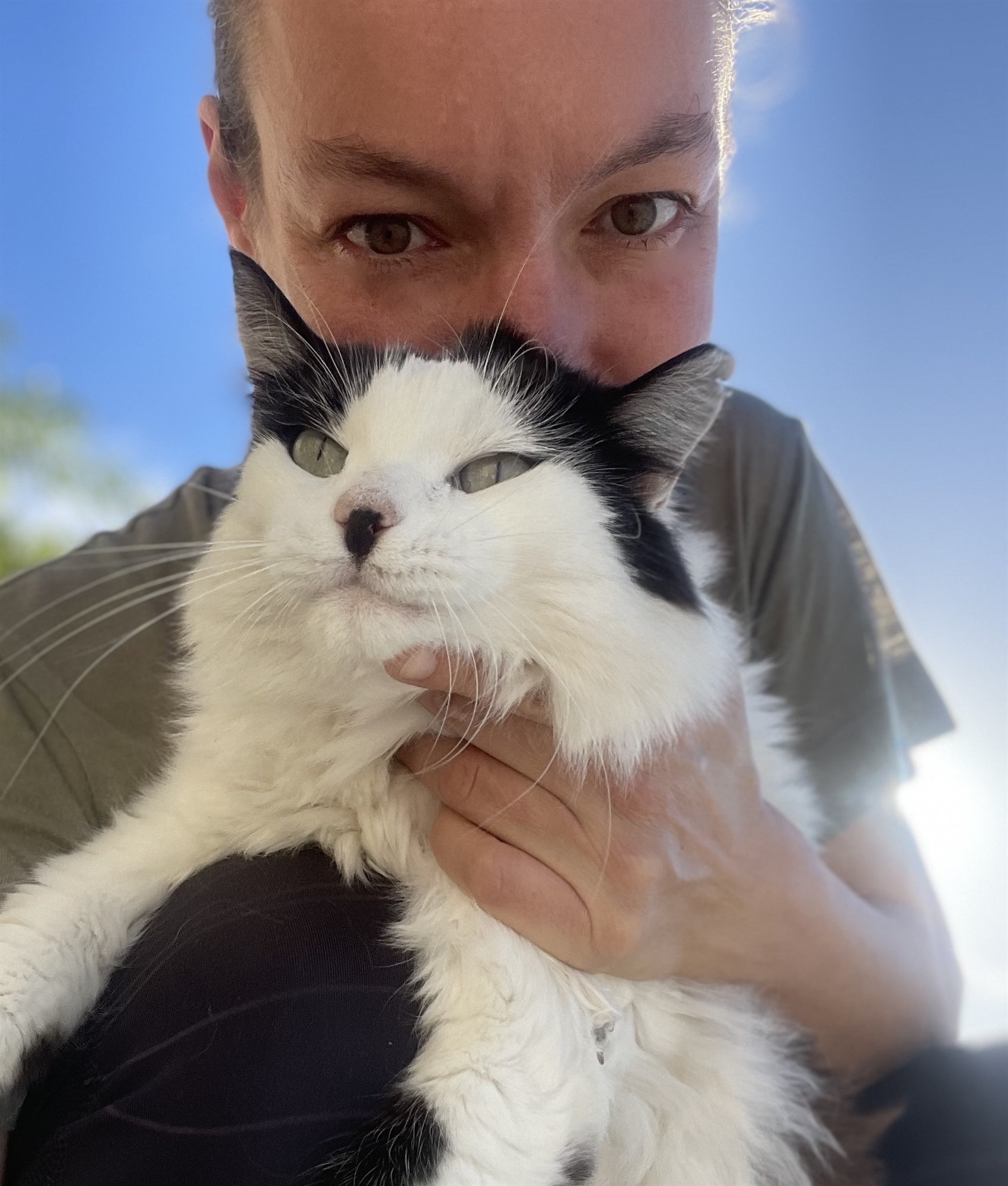 Ανεξάρτητες, σαν τις γάτες μας-4