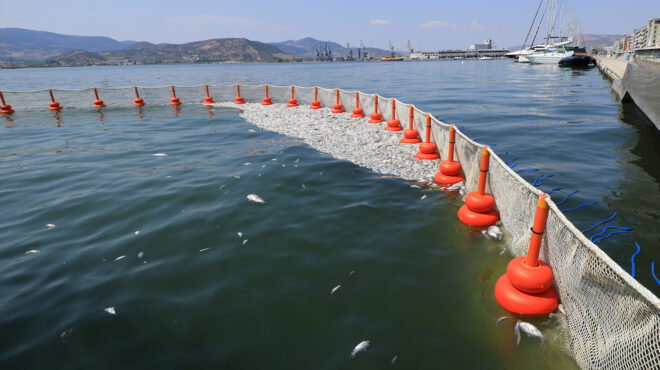 βόλος-επιτρέπεται-και-πάλι-το-μπάνιο-σ-563211244