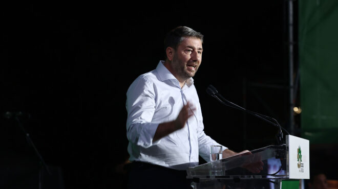 ν-ανδρουλάκης-αν-χάσαμε-εμείς-στις-ευρ-563205607