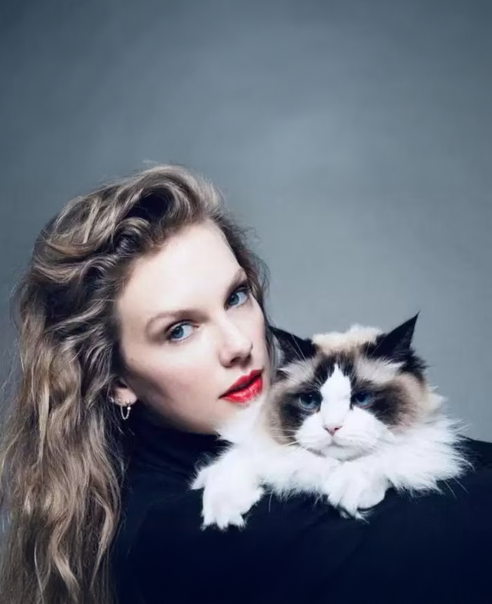 Ανεξάρτητες, σαν τις γάτες μας-1