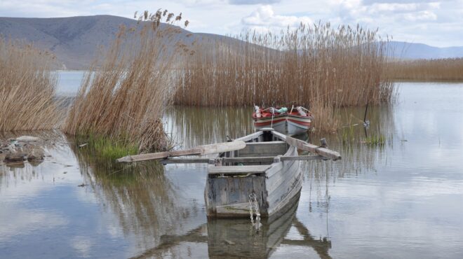 η-άρδευση-απειλεί-τις-λίμνες-της-μακεδ-563220217