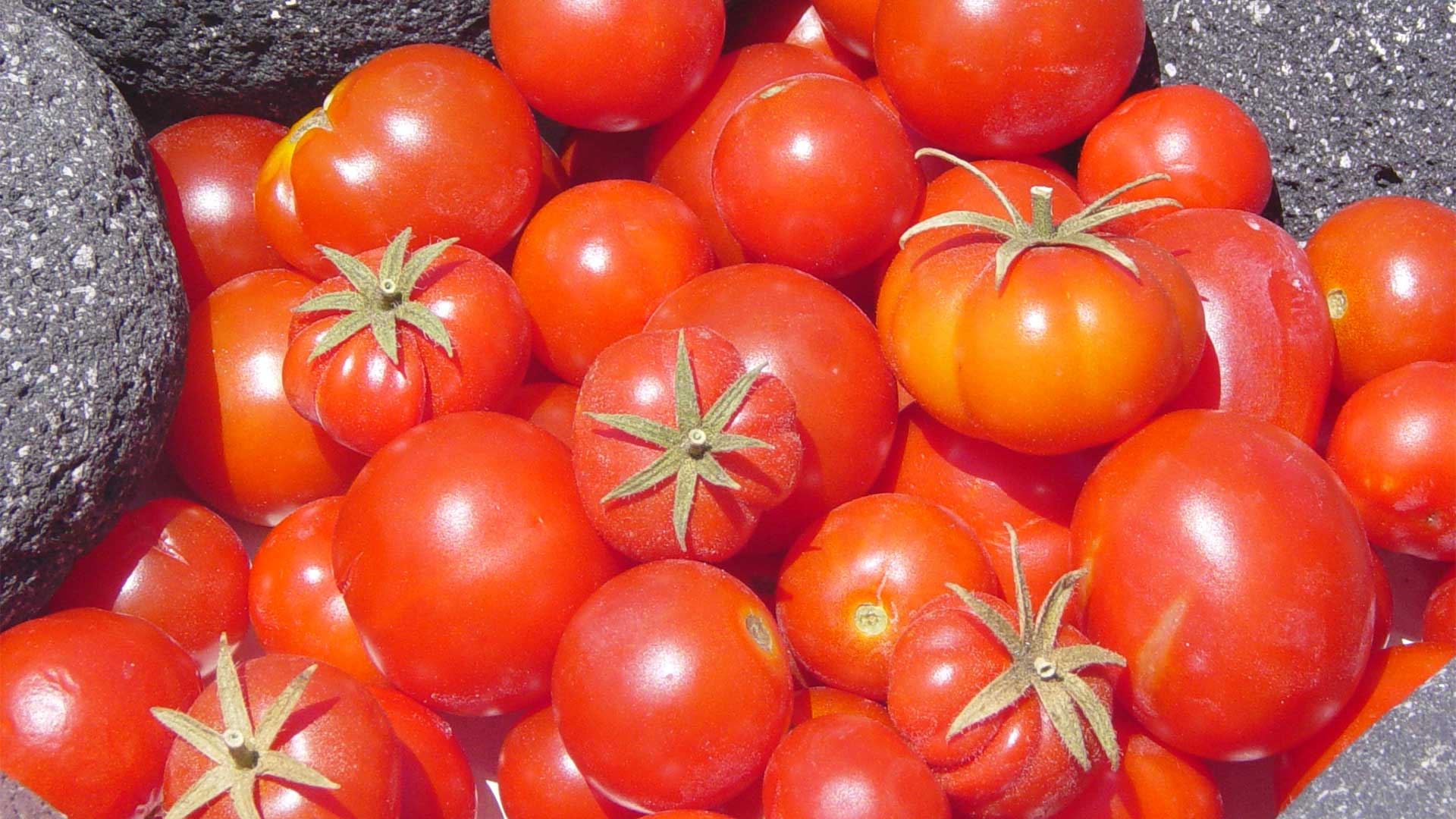 Explainer: Όλα όσα πρέπει να ξέρουμε για τις ελληνικές ντομάτες-2