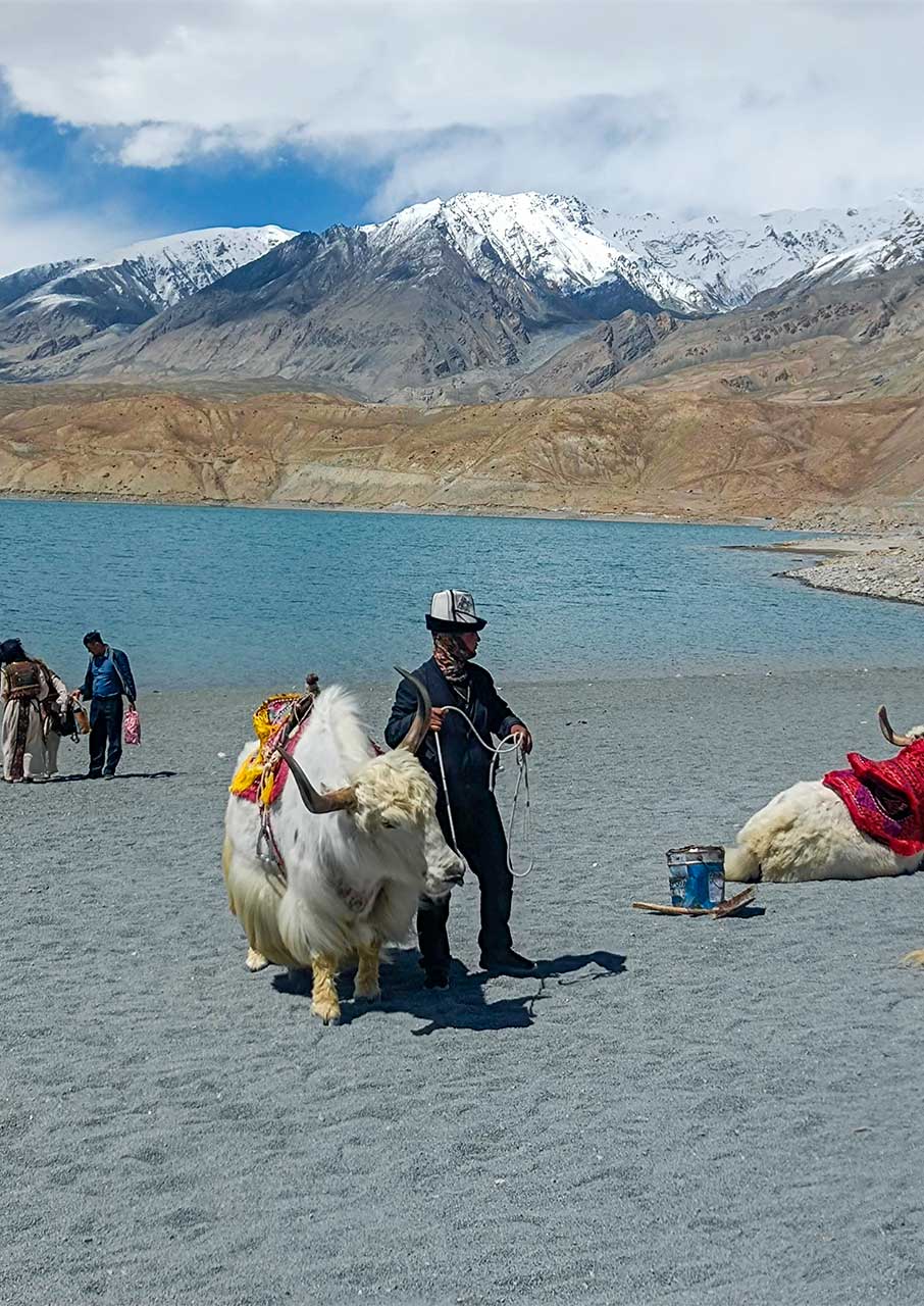 Οδηγώντας στον αυτοκινητόδρομο Karakoram της Κίνας-7