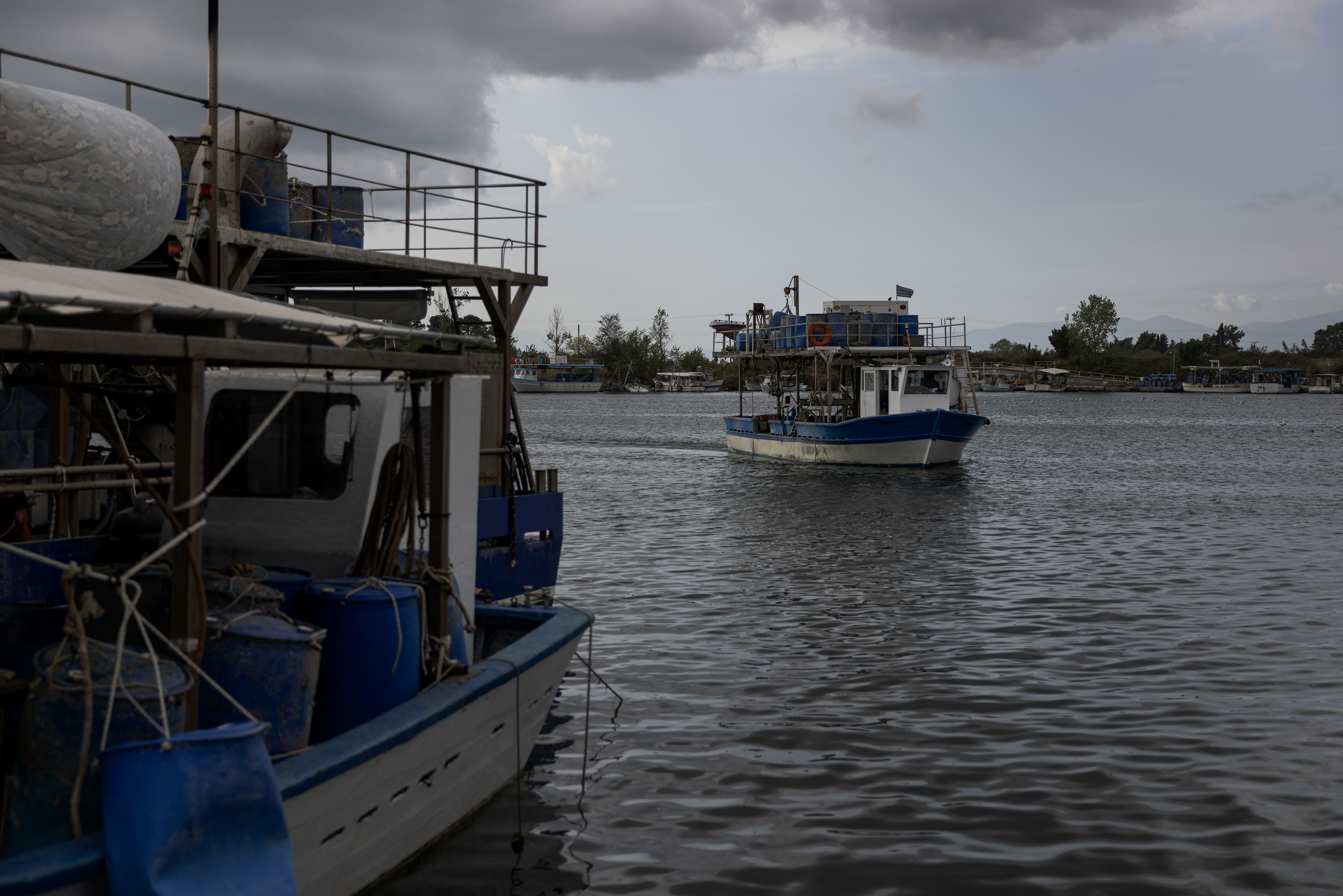 Στις μυδοκαλλιέργειες της Πιερίας «δεν έχει μείνει τίποτα ζωντανό»-5