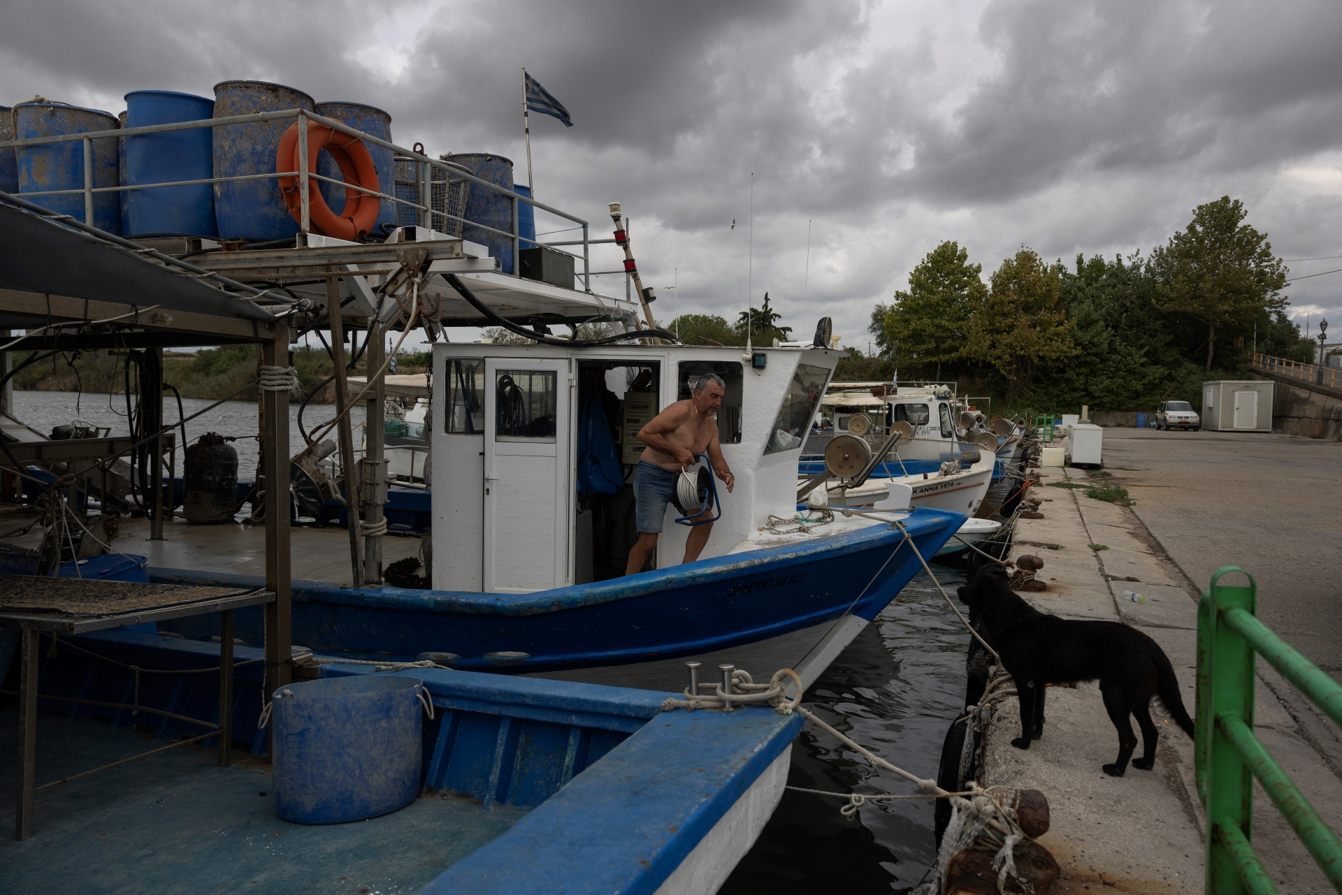 Στις μυδοκαλλιέργειες της Πιερίας «δεν έχει μείνει τίποτα ζωντανό»-15