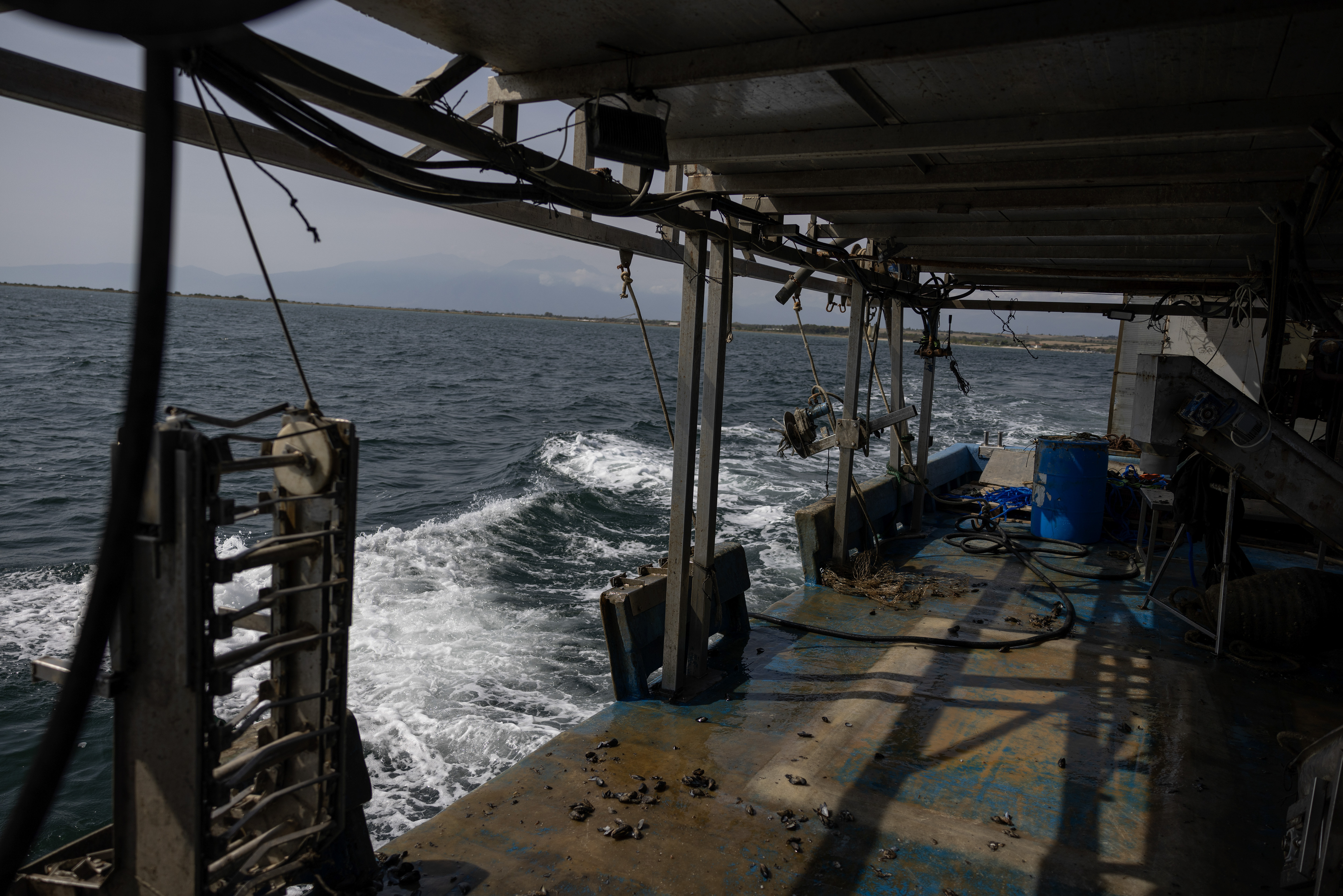 Στις μυδοκαλλιέργειες της Πιερίας «δεν έχει μείνει τίποτα ζωντανό»-19