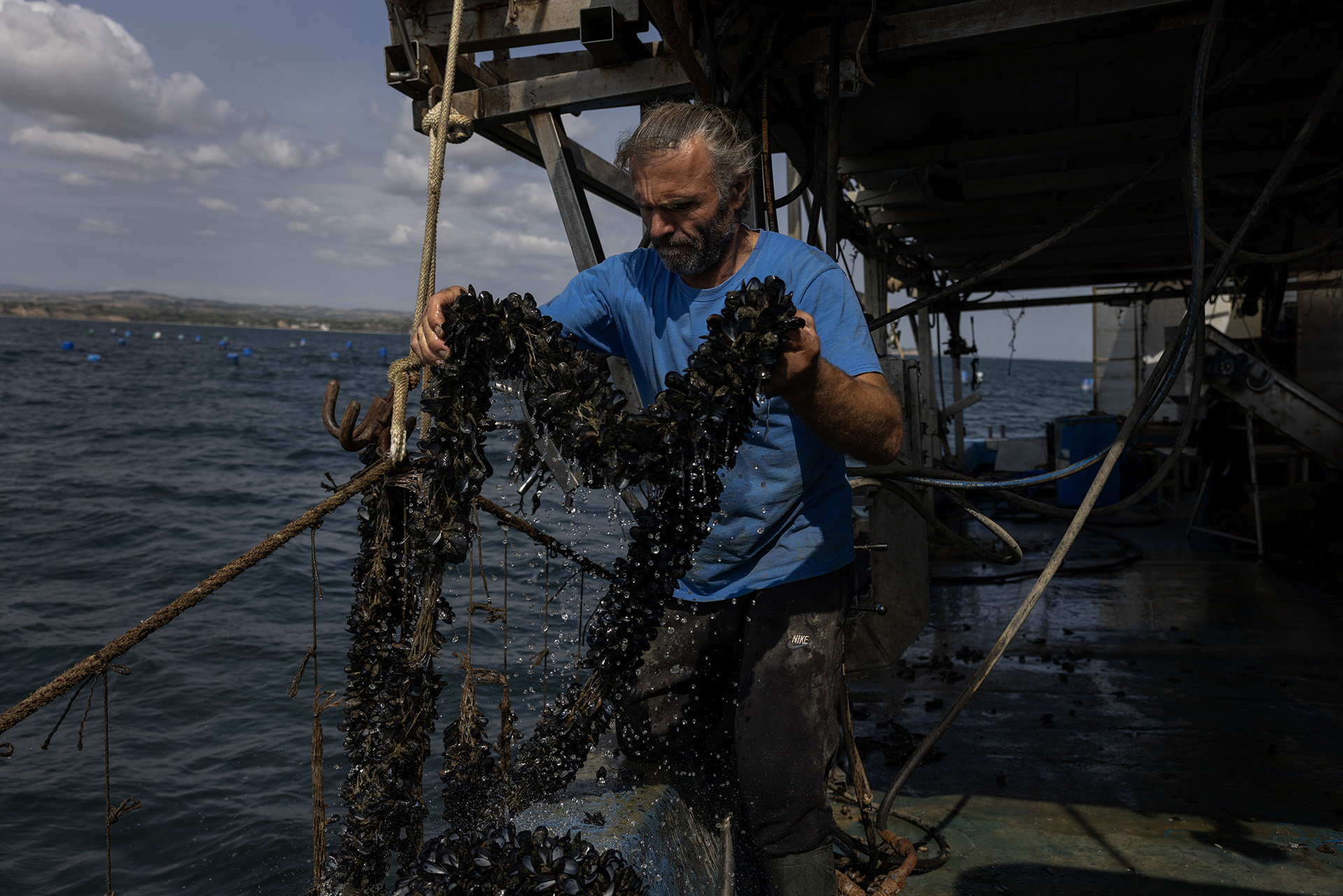 Στις μυδοκαλλιέργειες της Πιερίας «δεν έχει μείνει τίποτα ζωντανό»-10