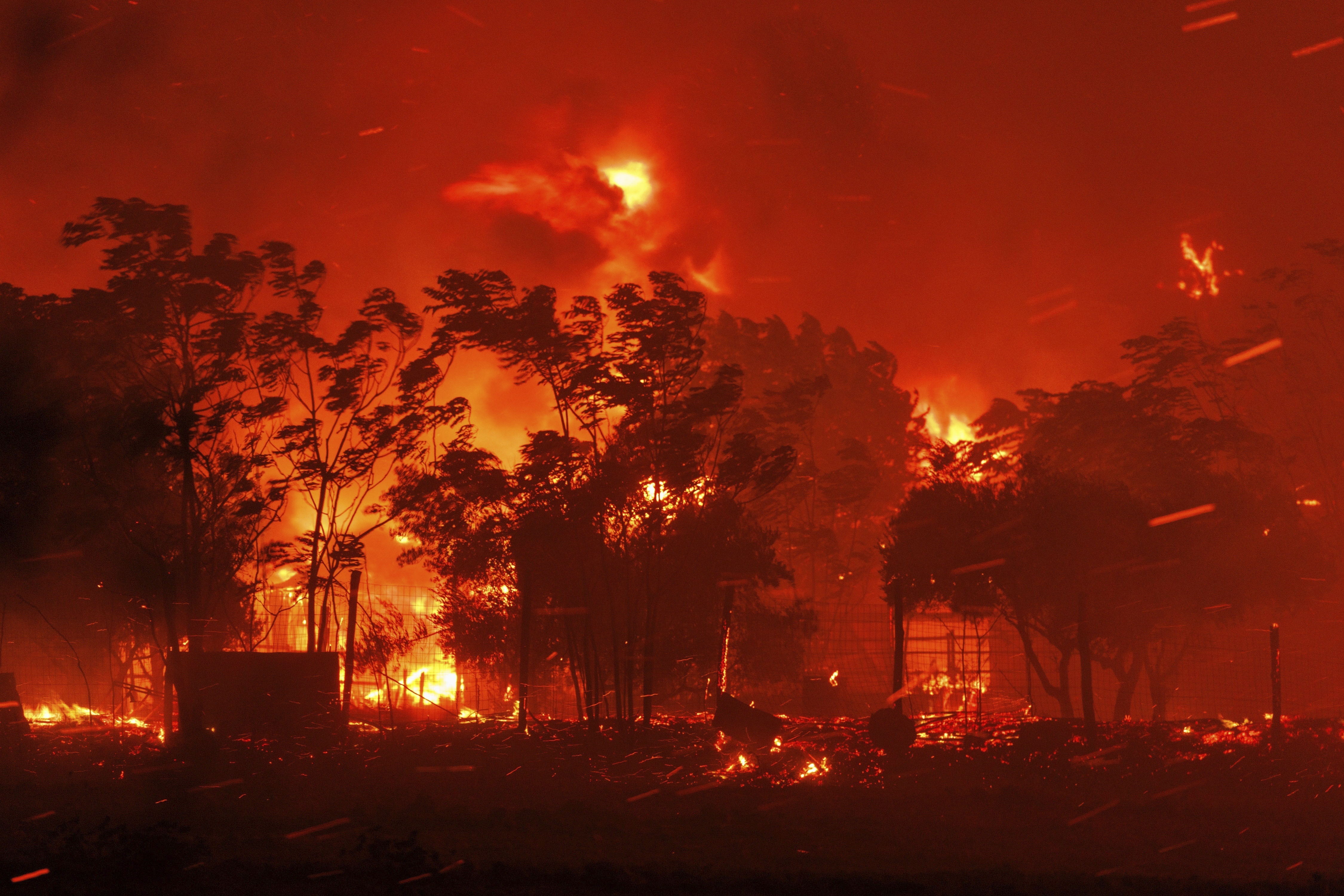 Γιατί η πυρκαγιά στον Εβρο έγινε παγκόσμιο case study-2