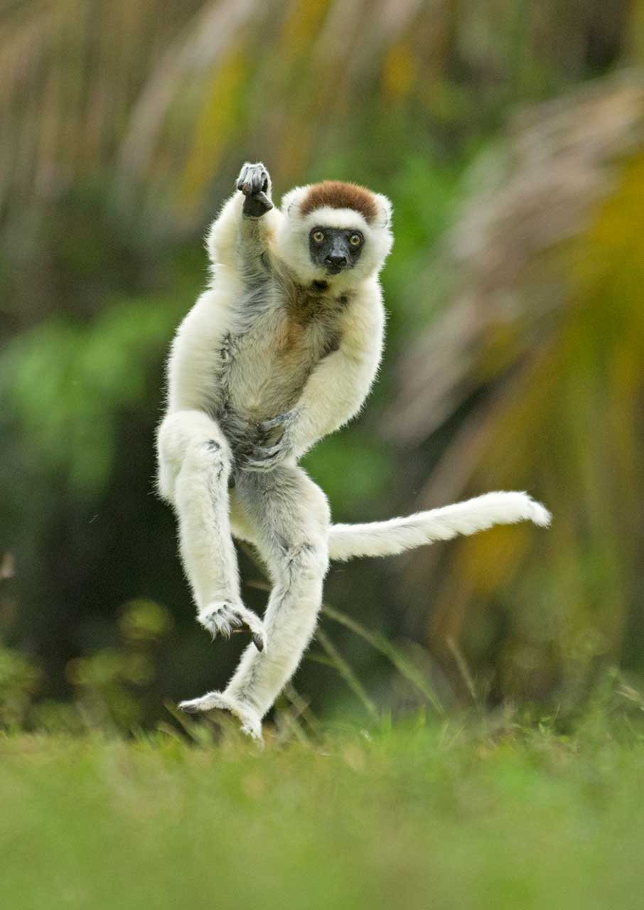 15 από τις πιο αστείες φωτογραφίες ζώων που κυκλοφόρησαν φέτος-6