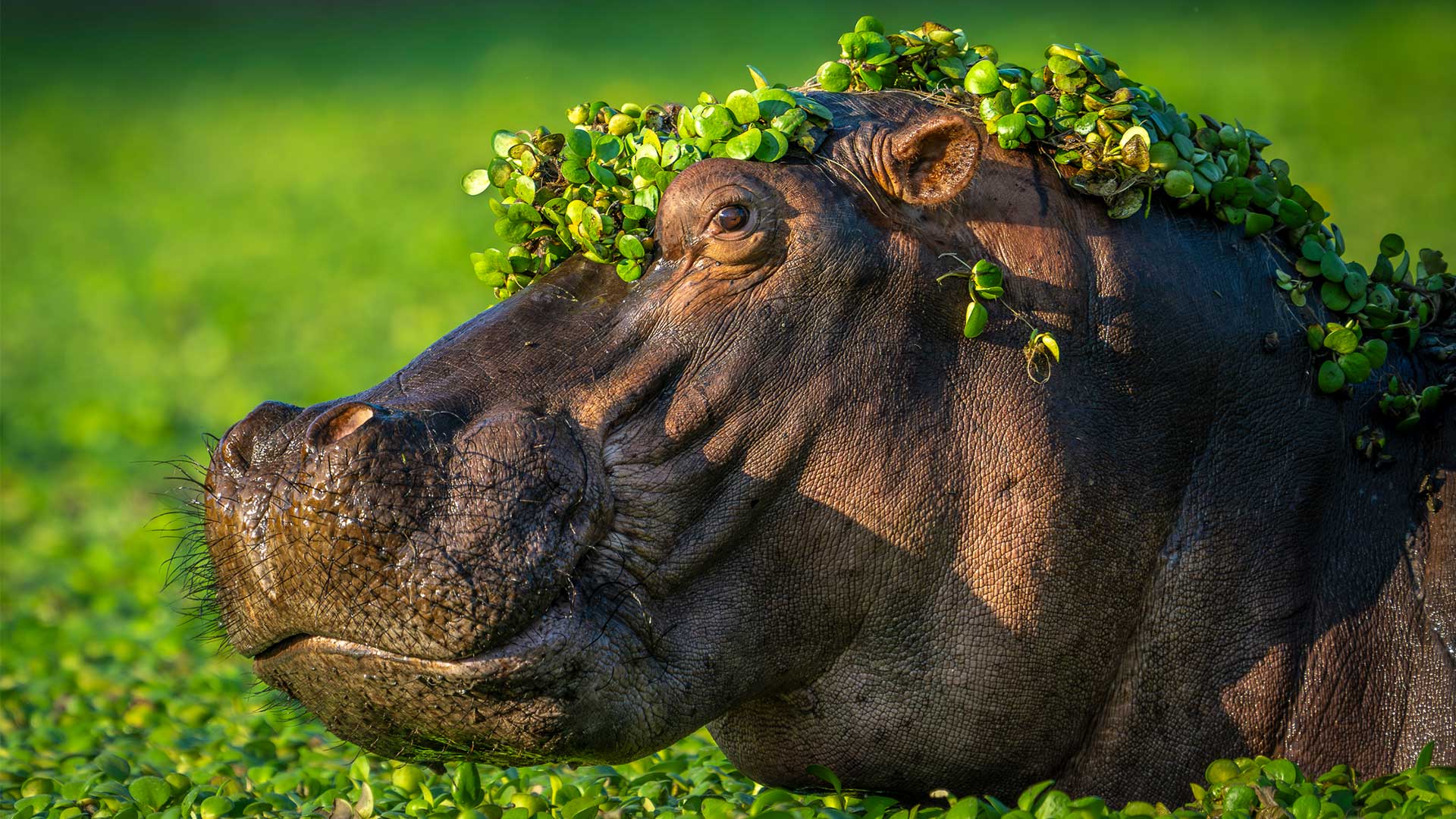 15 από τις πιο αστείες φωτογραφίες ζώων που κυκλοφόρησαν φέτος-1