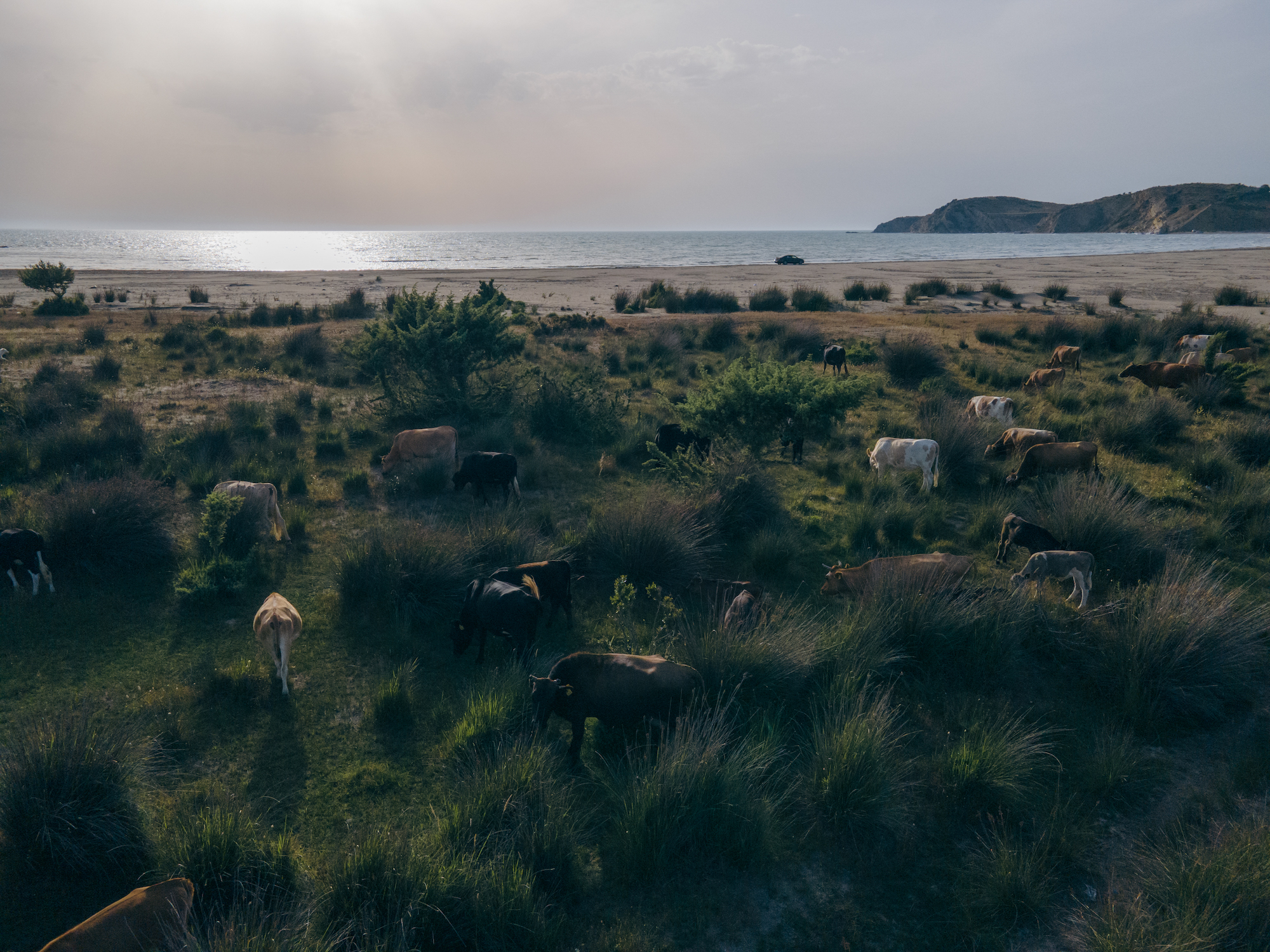 «Αυτή η γη έχει τον ιδρώτα μας»-1